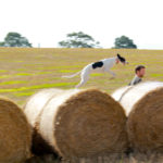 Pet portraits, lurcher running